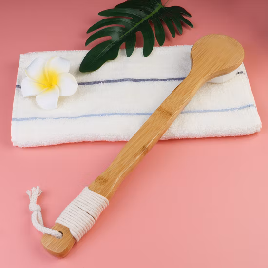 El cuerpo seco de la cerda natural del jabalí cepilla el cepillo de madera del cuerpo del baño del depurador del lavado de la manija larga